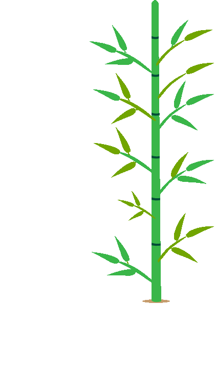 division example with bamboo